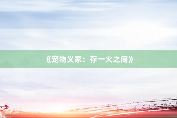 《宠物义冢：存一火之间》